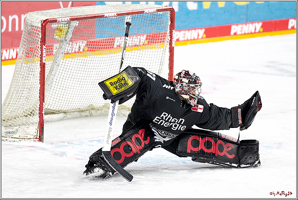 PENNY DEL;  Koelner Haie - Wolfsburg Grizzlys; Koeln, 17.03.2021
